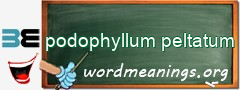 WordMeaning blackboard for podophyllum peltatum